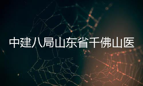 八局病房目封顶医院中建综合山东省千楼项佛山