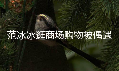 冰逛被偶被赞打扮低调多遇 购物商场范冰发量